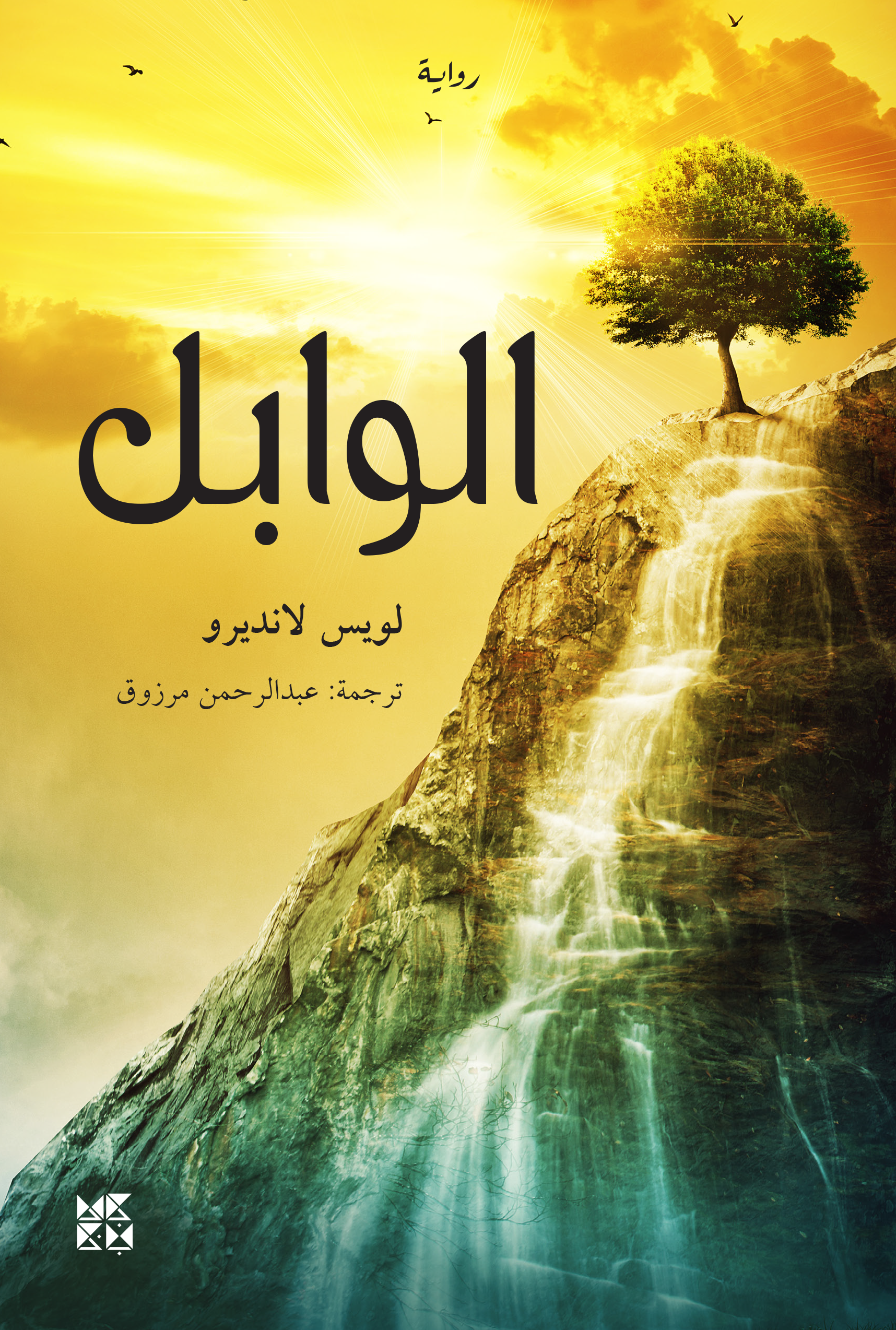 The Downpour Book Cover